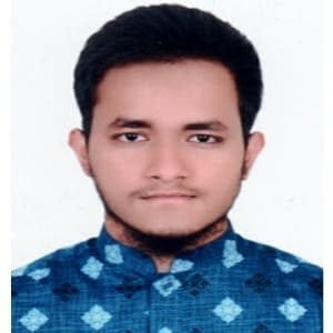 মো: তারিকুল ইসলাম 